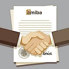 102 - AMiBA PRO 13.0 + BIBLIOTHÈQUE 1 LOT